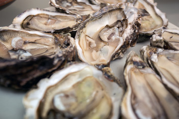 oysters on a large plate