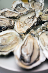 oysters on a large plate