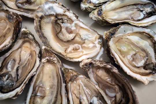 oysters on a large plate