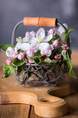 branches of a blossoming apple-tree