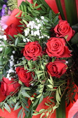 Rote Rosen, Red Roses, Mannheim 2016