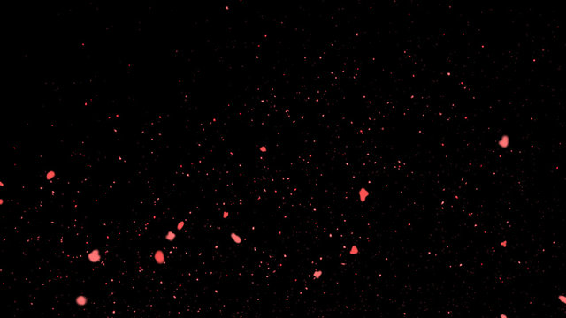 red sakura flying motion, black background, Romantic flying flower red backdrop, Particles Flying on black, Sakura Cherry Blossoms Flying Red, valentine day
