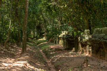 Fototapeta na wymiar Ditch beside moss-covered temple wall in forest
