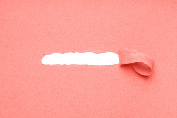 hole torn in coral color paper background to reveal hidden copy space underneath