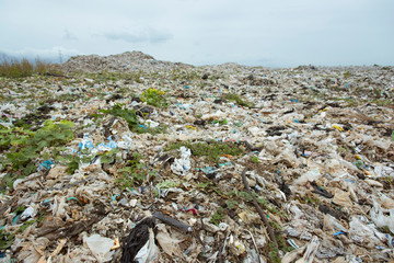 The mountains of garbage that humans eat and leave are pile up.