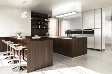 Contemporary Designed Kitchen