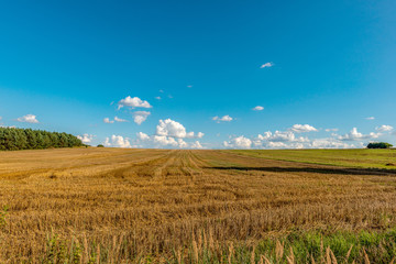 pole po żniwach © Kamil_k2p