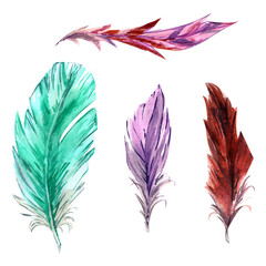 Watercolor set feathers are bright colored, isolated on white background, drawn by hands.