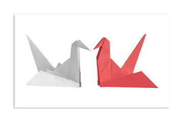 White swans facing each other. The concept of minimalism.