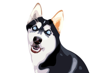 drawn illustration of a blue-eyed husky dog on a white background showing the language for logos, t-shirts