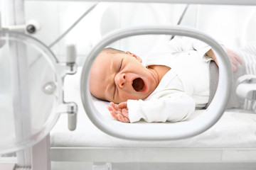 Noworodek w inkubatorze.  Nowonarodzone dziecko w inkubatorze na oddziale szpitalnym. - obrazy, fototapety, plakaty