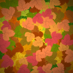 Fototapeta premium Background with autumn leaves
