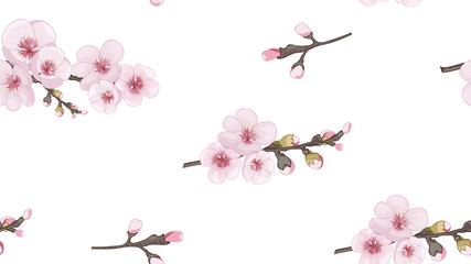Fototapeta na wymiar The idea of textile design, wallpaper, packaging, printing. Handmade Seamless pattern in the Japanese style. Festive pattern of sakura flowers. Pink on white fond.