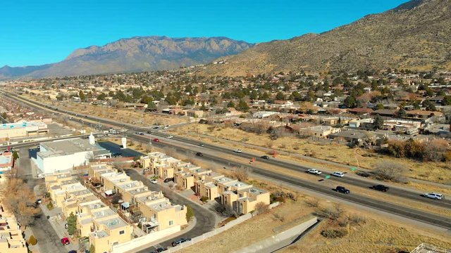 Aerial shot of a flock of birds flying across the drone's camera.