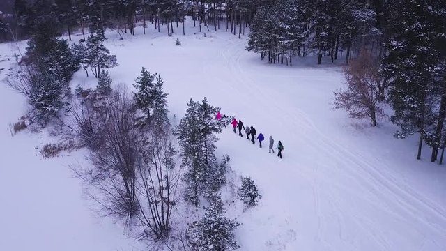 Flight In Winter On The Drone Above The Forest On The Background Of The City. Aerial Winter Park Landscape Above Montreal, Canada