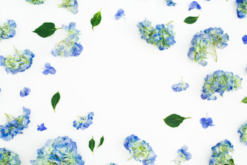 Fototapeta na wymiar Floral frame of blue hydrangea flowers with leaves on white background. Flat lay, top view