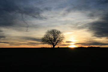 Fototapeta premium Sonnenuntergang