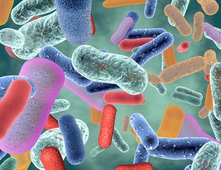 Beneficial healthy intestinal bacterium microflora 3d render.