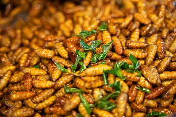 Fried insects, in the walking street market, Phuket Thailand