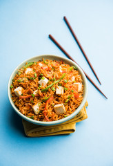 Schezwan hakka noodles with paneer or cottage cheese. Served in a bowl. selective focus
