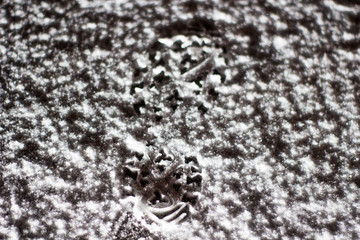 Texture of person track on snow 