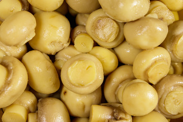 Food background of marinated mushrooms. Pickled champignons close-up