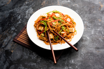Schezwan hakka noodles with paneer or cottage cheese. Served in a bowl. selective focus