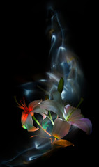 Flowers and buds of white lilies, pistils and stamens, painted by light on a colorful background, improvisation with blue, yellow and white light on a black background