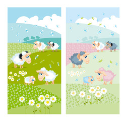 sheeps on green hills with white flowers