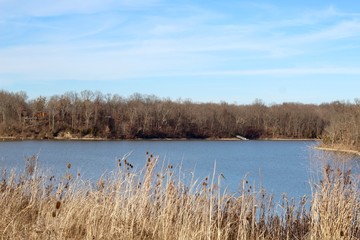 A view of the lake over the tall grass weeds on the shore.