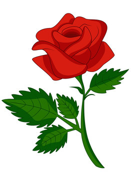 Red rose cartoon