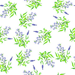 Seamless pattern with herbal blue and green bouquet on white background. Hand drawn watercolor illustration. 