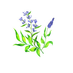 Elegance blue floral bouquet isolated on white background. Hand drawn watercolor illustration. 