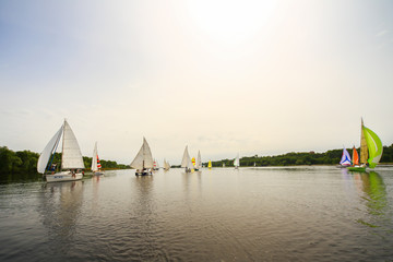 lot of sail boats on regatta with sails on 