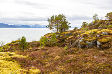 The Senja Island in Norway