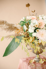 autumn, spring flowers