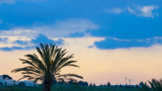 Sunset over white houses and palms . Silhouette of a palm tree over the sunset. Time Lapse. Timelapse.
