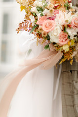 autumn, spring flowers