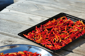 Red Chilli on the plate