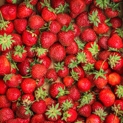 strawberry red - ripe berries, juicy. copy space. top