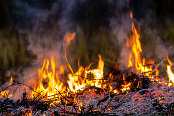 Forest wildfire at night whole area covered by flame and clouds of dark smoke. Distorted details...