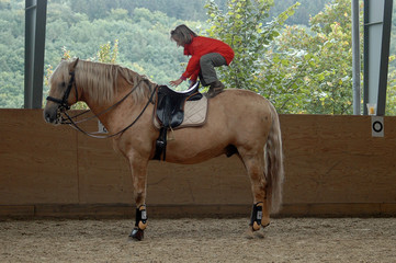 little girl trying to sand on a horse
