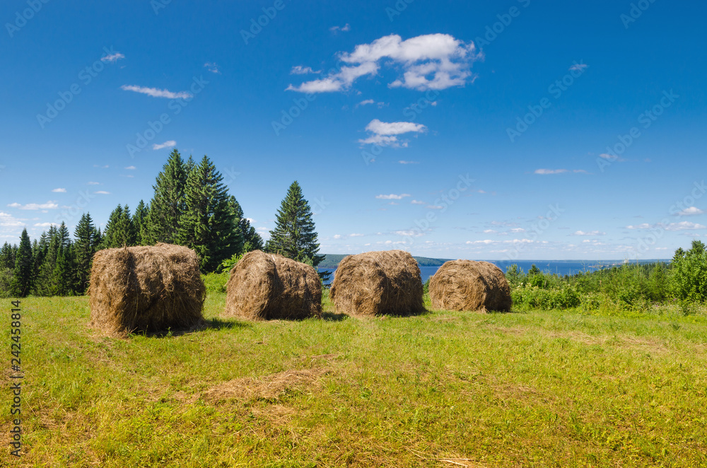 Wall mural Beautiful summer landscape with sloping meadow, hay, forest and river with blue sky with clouds.