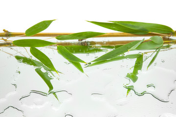 branches and green and fresh bamboo leaves reflected on mirror and water with white background, horizontal view