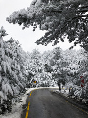 Road in the mountains covered with snow. Winter landscape.