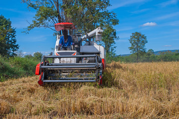 Combine harvesters, Orange combine harvesters 