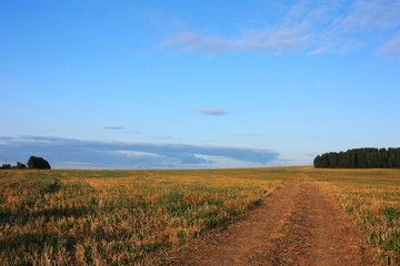 Dirt country road in the field in the evening