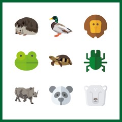 9 wildlife icon. Vector illustration wildlife set. panda and polar bear icons for wildlife works