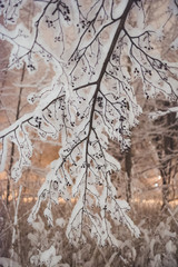 Winter snow fall in Helsinki