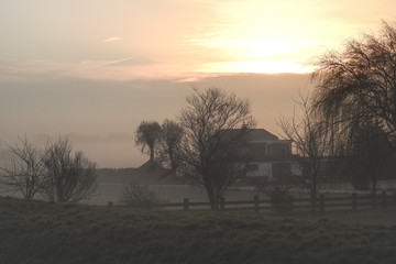 Fototapeta premium Dutch farm at sunrise on a misty winter morning. Photographed in the dutch countryside between the cities of Leiden and Gouda, The Netherlands.